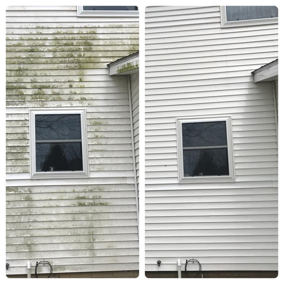 Before and after comparison of house washing showing dirty vinyl siding with mold and algae removal on left, clean bright siding on right