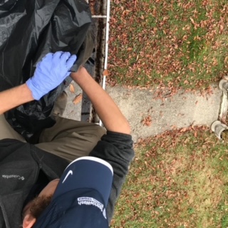 Person in blue gloves holding black debris from residential gutter cleaning in Fond du Lac, Wisconsin